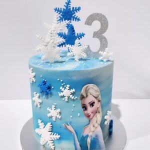 Frozen Cake